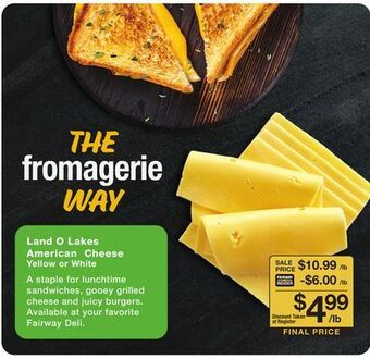 Fairway Store Market Land o lakes american cheese offer