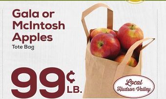 DeCicco & Sons Gala or mcintosh apples offer