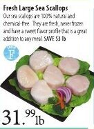 Market of Choice Fresh Large Sea Scallops offer