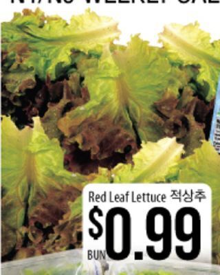 Hmart Red leaf lettuce offer