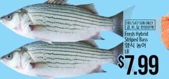 Hmart Fresh hybrid striped bass offer