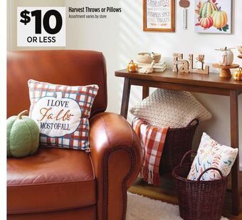 Dollar General Harvest throws or pillows offer