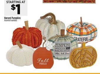 Dollar General Harvest pumpkins offer