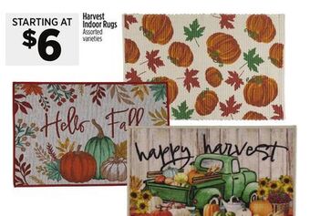 Dollar General Harvest indoor rugs offer
