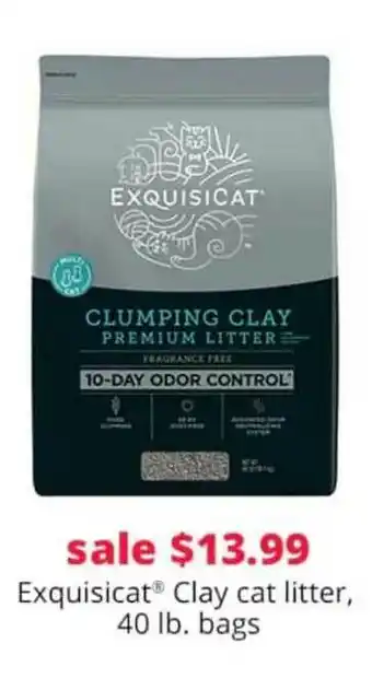 Pet Smart Exquisicat Clay Cat Litter, 40 Lb. Bags offer