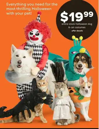 Pet Smart Halloween Dog & Cat Costumes offer