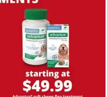 Pet Smart Advantus Soft Chews Flea Treatment offer