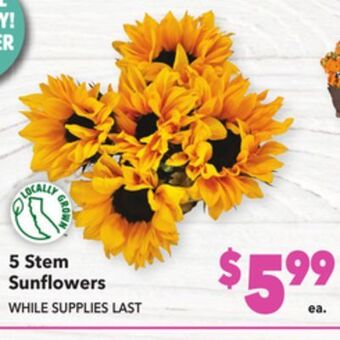 Vallarta Supermarkets 5 stem sunflowers offer