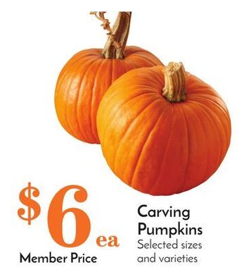 Pavilions Carving pumpkins offer