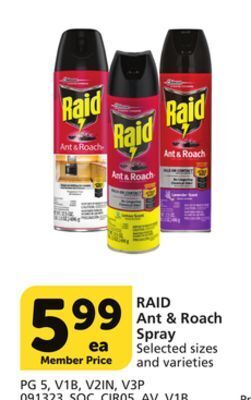 Albertsons Raid ant & roach spray offer