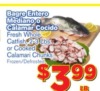 El Super Fresh Fresh whole catfish, 2-3 lbs. or cooked calamari chunks offer