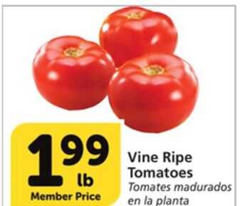 Vons Vine ripe tomatoes offer