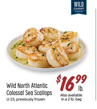 Sprouts Farmers Market Wild north atlantic colossal sea scallops offer
