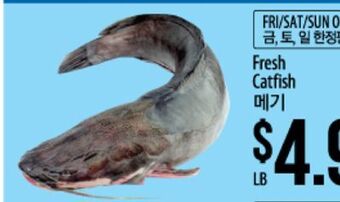 Hmart Fresh catfish offer
