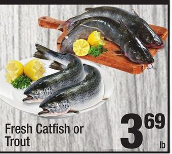 Super King Markets Fresh catfish or trout offer
