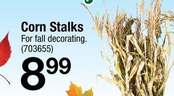 Ace Hardware Corn stalks offer