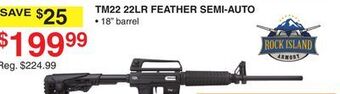 Dunham's Sports Rock island tm22 22lr feather semi-auto offer