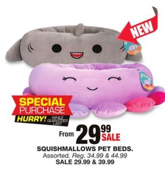 Blain's Farm & Fleet Squishmallows pet beds offer