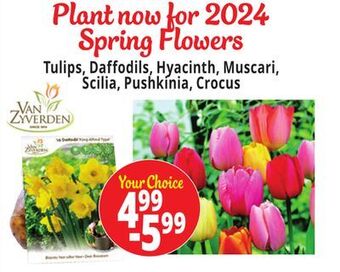 Ocean State Job Lot Plant now for 2024 spring flowers offer