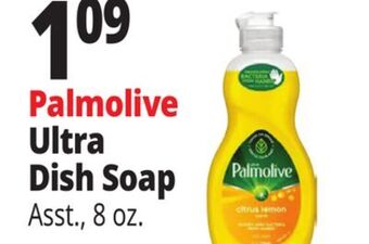 Ocean State Job Lot Palmolive ultra dish soap offer