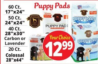 Ocean State Job Lot Puppy pads offer