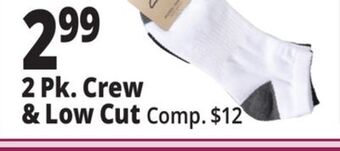 Ocean State Job Lot 2 pk. crew & low cut offer