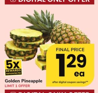 ACME Golden pineapple offer