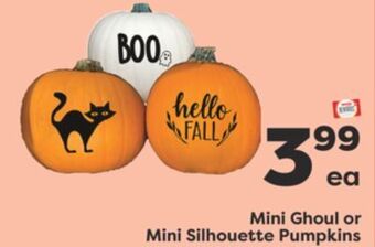Weis Markets Mini ghoul or mini silhouette pumpkins offer