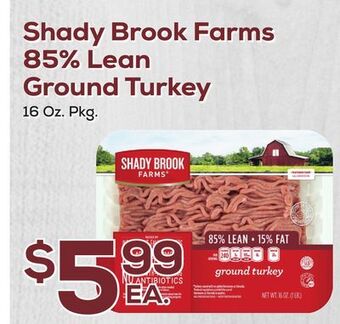 DeCicco & Sons Shady brook farms 85% lean ground turkey offer