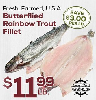 DeCicco & Sons Butterflied rainbow trout fillet offer