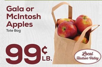 DeCicco & Sons Gala or mcintosh apples tote bag offer