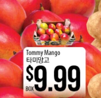 Hmart Tommy mango offer