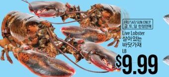 Hmart Live lobster offer