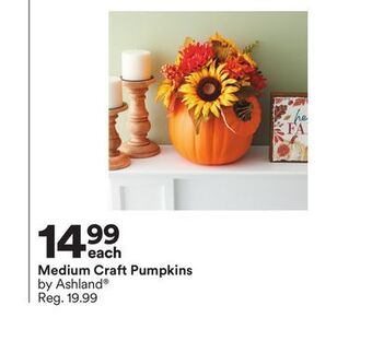 Michaels Medium craft pumpkins by ashland offer