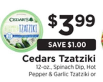 ShopRite Tzatziki offer