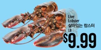 Hmart Live lobster offer