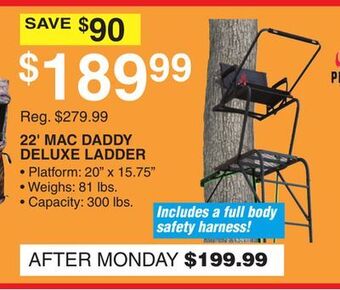 Dunham's Sports 22' mac daddy deluxe ladder offer