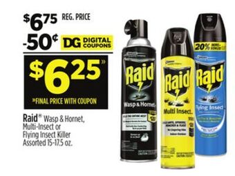 Dollar General Raid offer