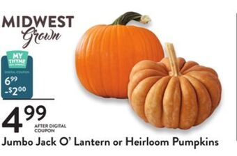 Fresh Thyme Jumbo jack o'lantern or heirloom pumpkins offer