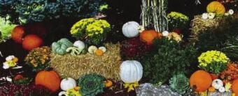 Jewel-Osco Autumn couleurs offer