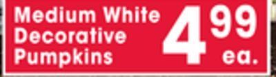 Jewel-Osco Medium white decorative pumpkins offer