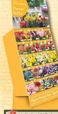 Ace Hardware Fall flower bulbs offer