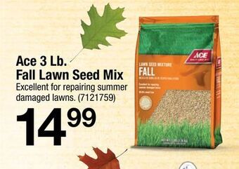 Ace Hardware Ace 3 lb. fall lawn seed mix offer
