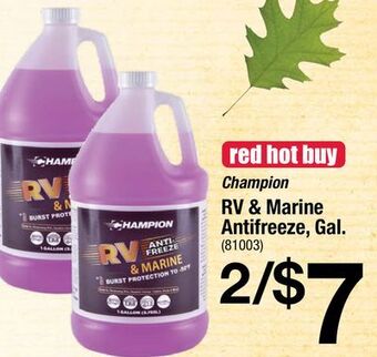 Ace Hardware Champion rv & marine antifreeze, gal offer