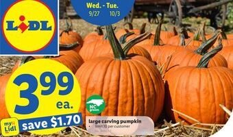 Lidl Large carving pumpkin offer