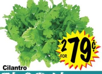 Superior Grocers Cilantro offer