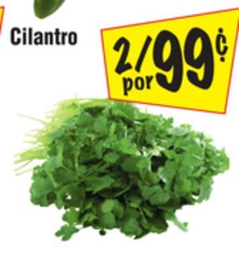 El Super Cilantro offer