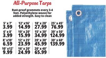 Ocean State Job Lot All-purpose tarps offer