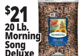 Ocean State Job Lot 20 lb. morning song deluxe offer