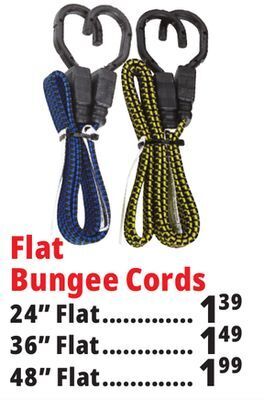 Ocean State Job Lot Flat bungee cords offer